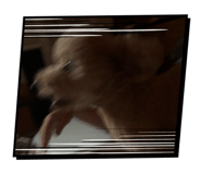 855629322