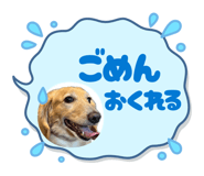 855629338