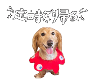 855629341