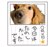 855629343