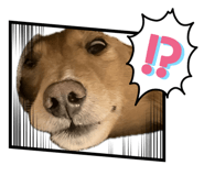 855629344