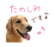 855629427
