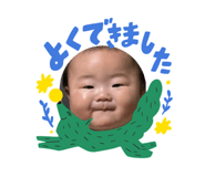 855629517