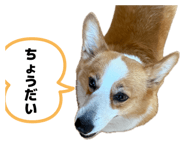 855629547