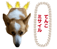 855629548