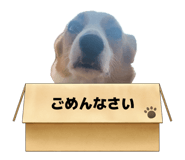 855629554