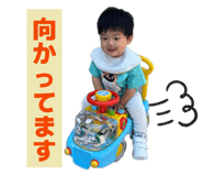 855629621