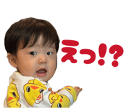 855629631