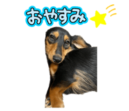 855629700