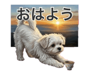 855630191