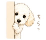 855630209