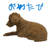 855630236