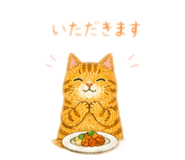 855630306