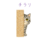 855630311
