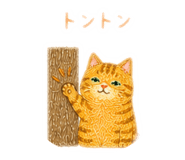 855630312