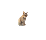 855630409