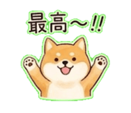 855630420