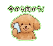 855630422