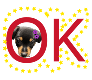 855630716