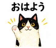 855630809