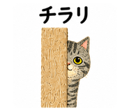 855630830