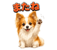 855630962