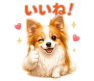 855630974