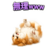 855630981