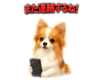855630987