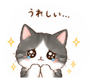 855631194
