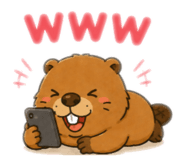 855631347