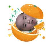 855631444