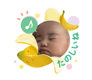 855631448