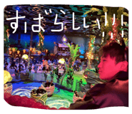 855631539