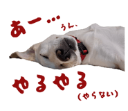 855631931