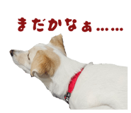 855631932