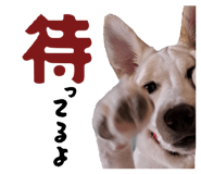 855631933