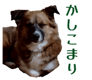 855631942