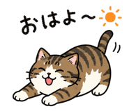 855631945