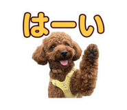 855632020