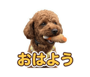 855632024