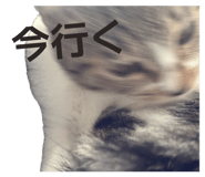 855632029
