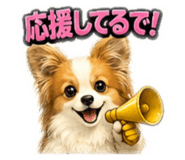 855632063