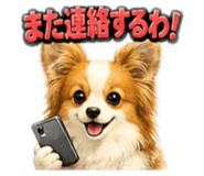 855632072