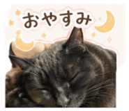 855632093