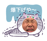 855632182