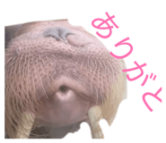 855632612