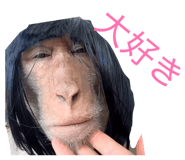 855632613