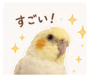 855632693