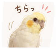 855632697